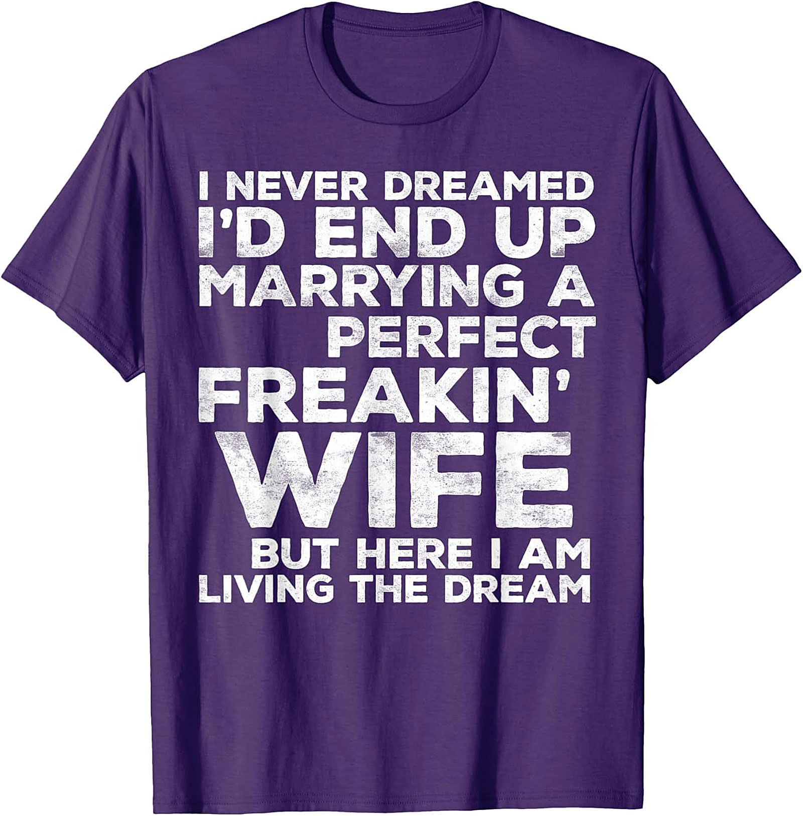 Perfect Wife Living The Dream Funny Husband T-Shirt