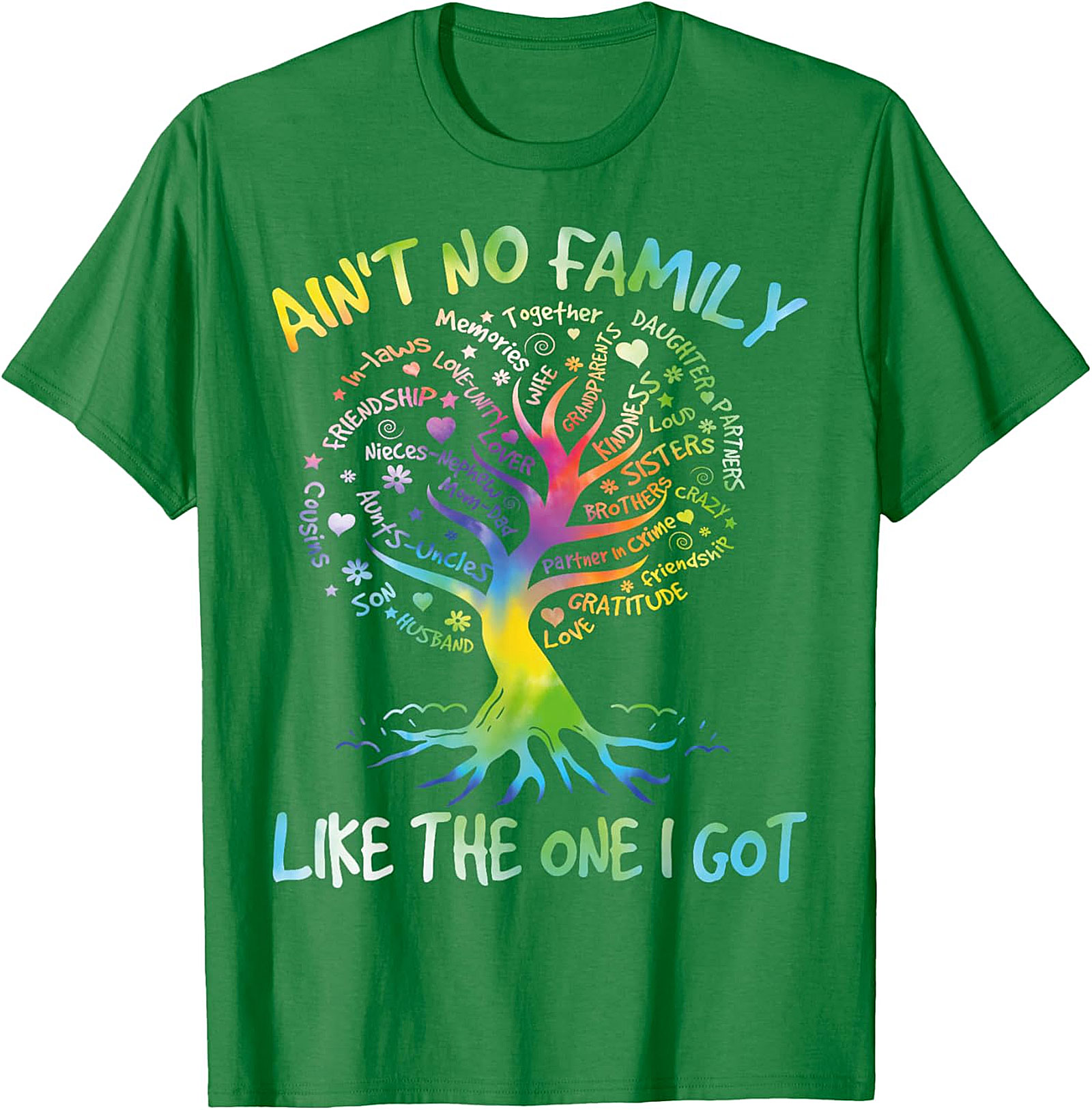 Ain't No Family Like The One I Got T-Shirt | Graphic Tee