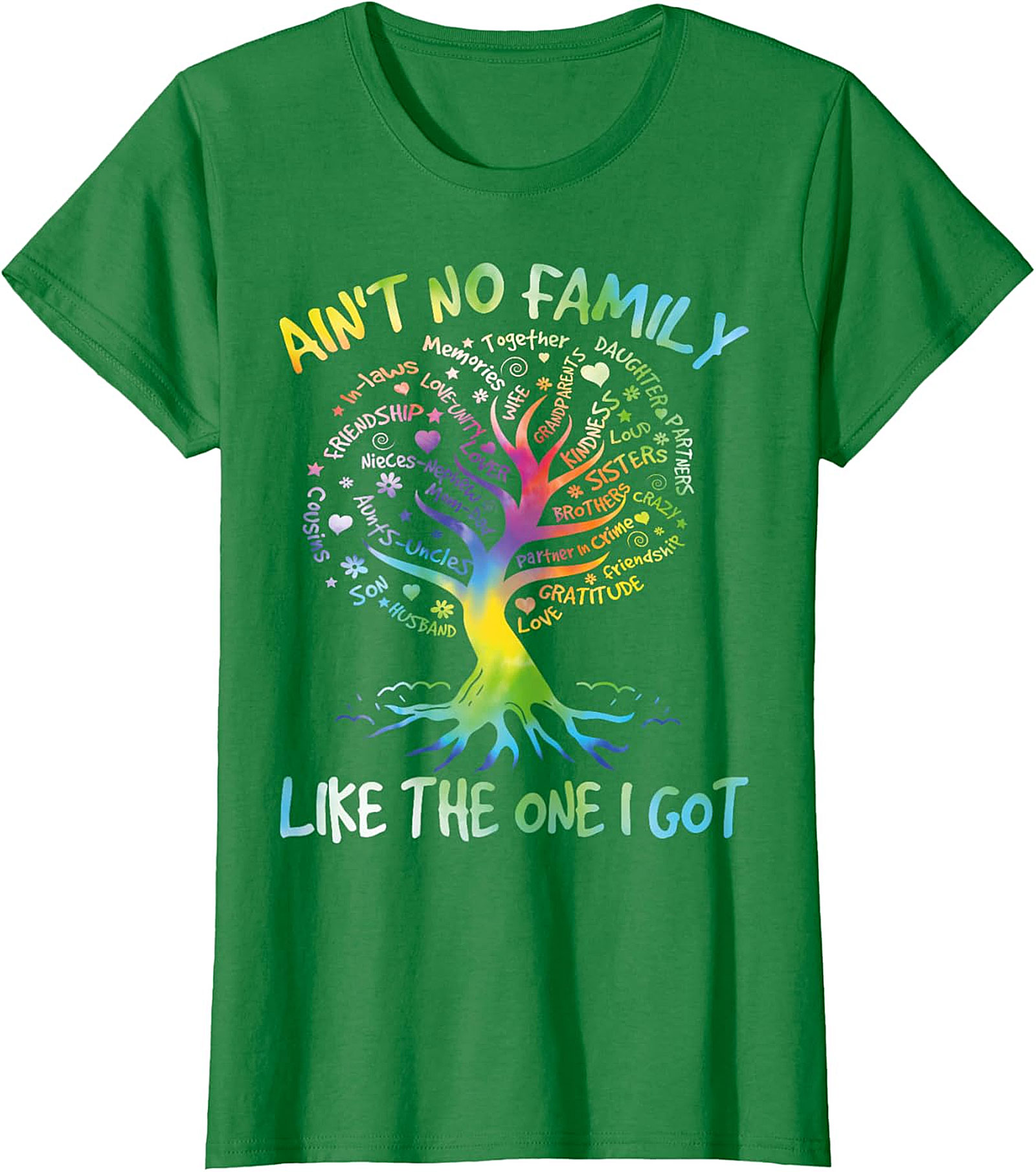 Ain't No Family Like The One I Got T-Shirt | Graphic Tee