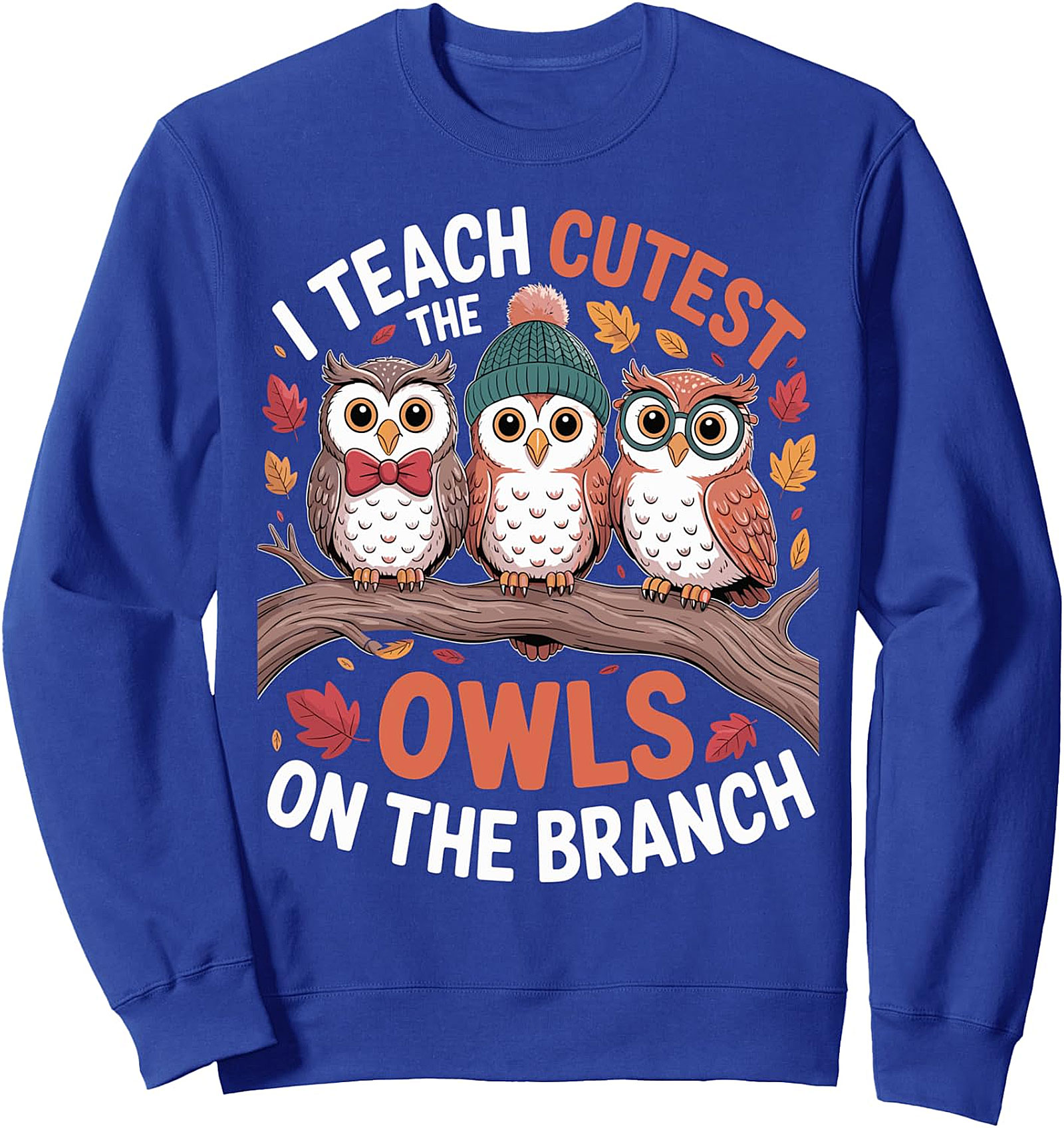  Cutest Owls Teacher Sweatshirt | Cozy Pullover Gift for Educators