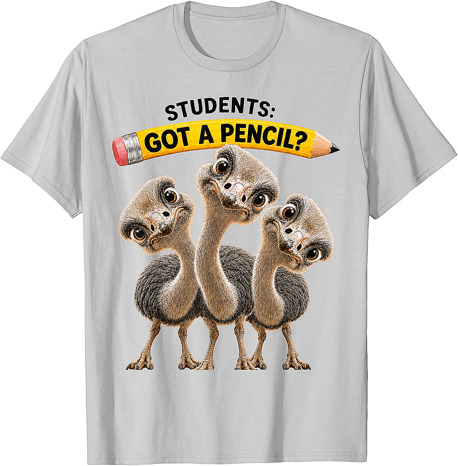 Teacher Humor Ostrich Students T-Shirt Funny Classroom Tee