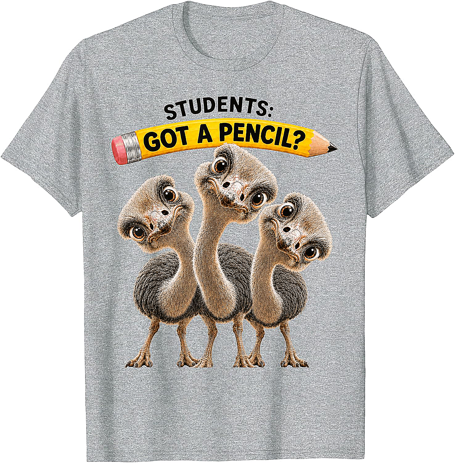 Teacher Humor Ostrich Students T-Shirt Funny Classroom Tee