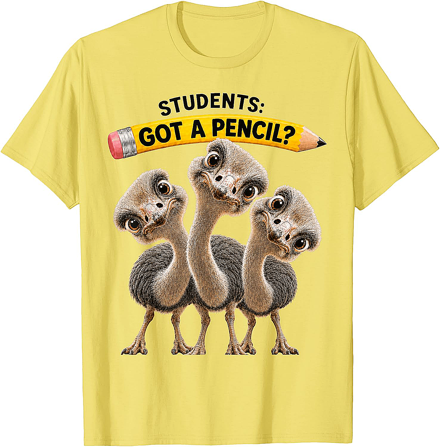 Teacher Humor Ostrich Students T-Shirt Funny Classroom Tee