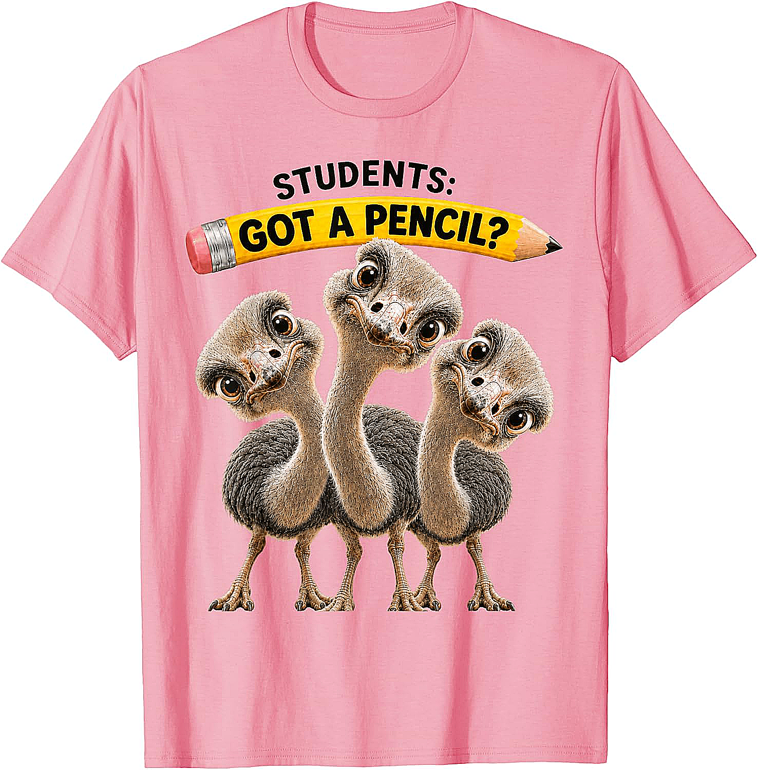 Teacher Humor Ostrich Students T-Shirt Funny Classroom Tee