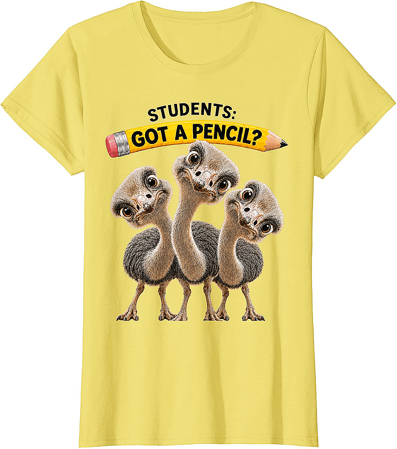 Teacher Humor Ostrich Students T-Shirt Funny Classroom Tee