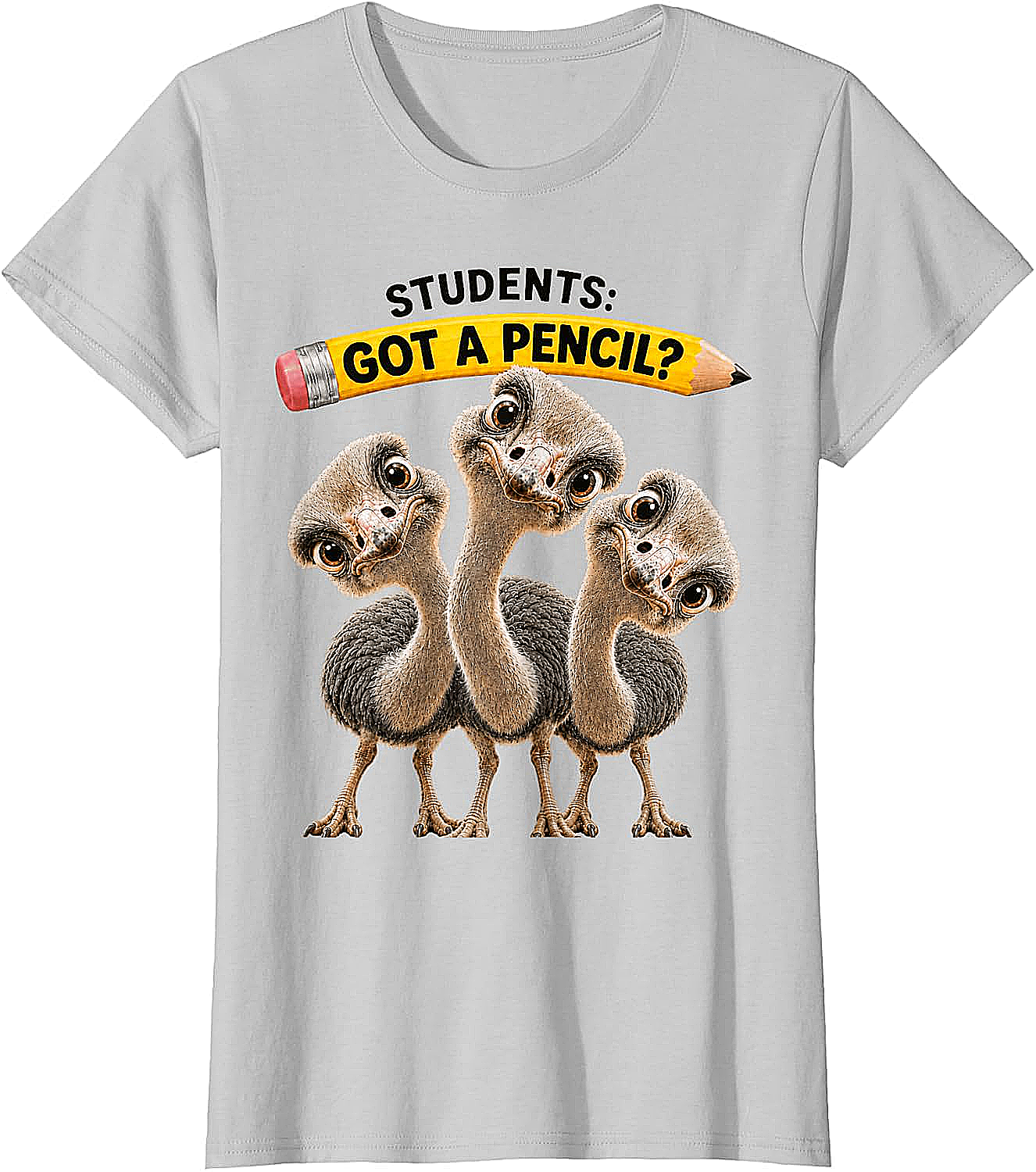 Teacher Humor Ostrich Students T-Shirt Funny Classroom Tee