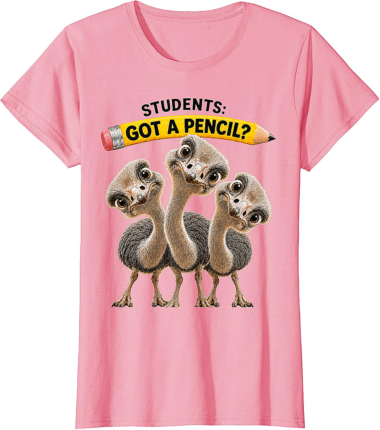 Teacher Humor Ostrich Students T-Shirt Funny Classroom Tee