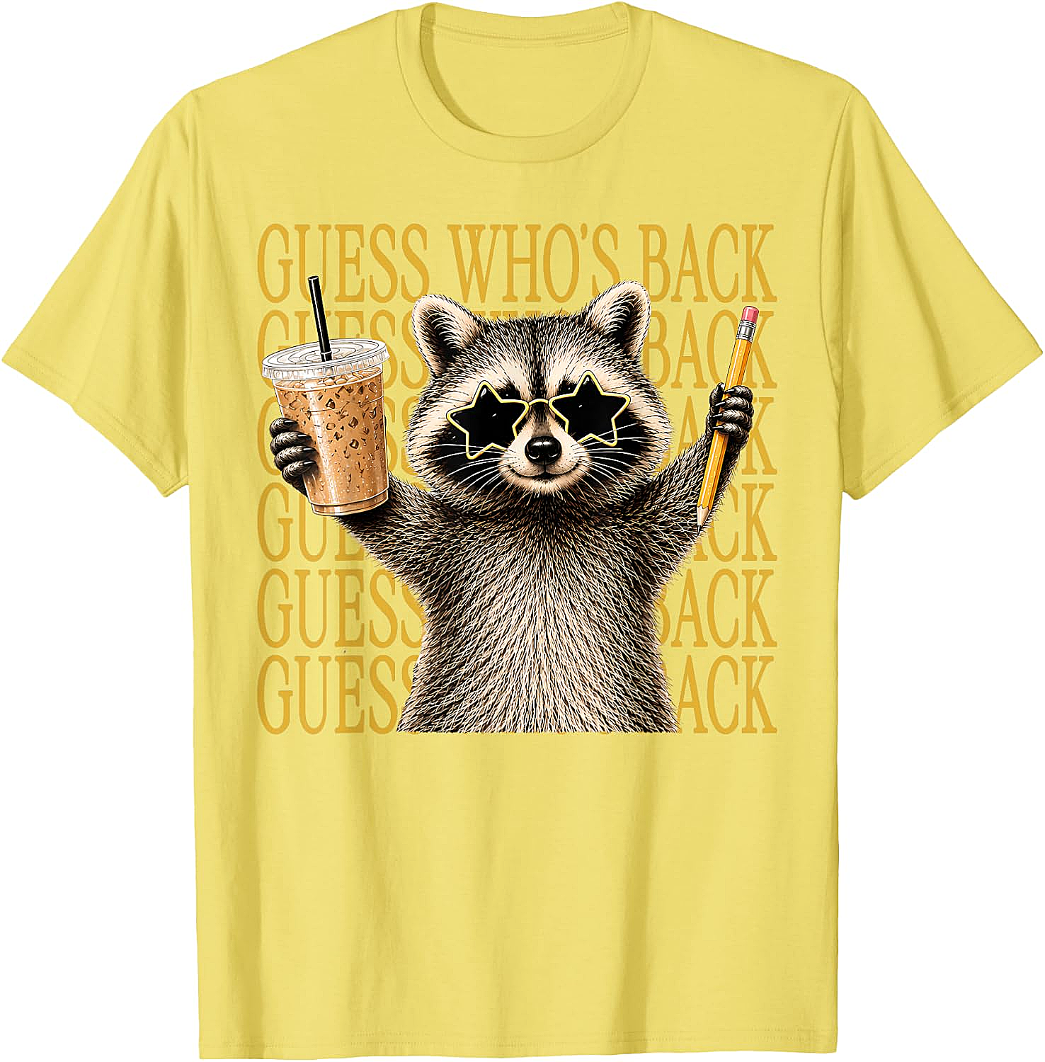 Funny Back to School Raccoon Tee Teacher & Kids Shirt