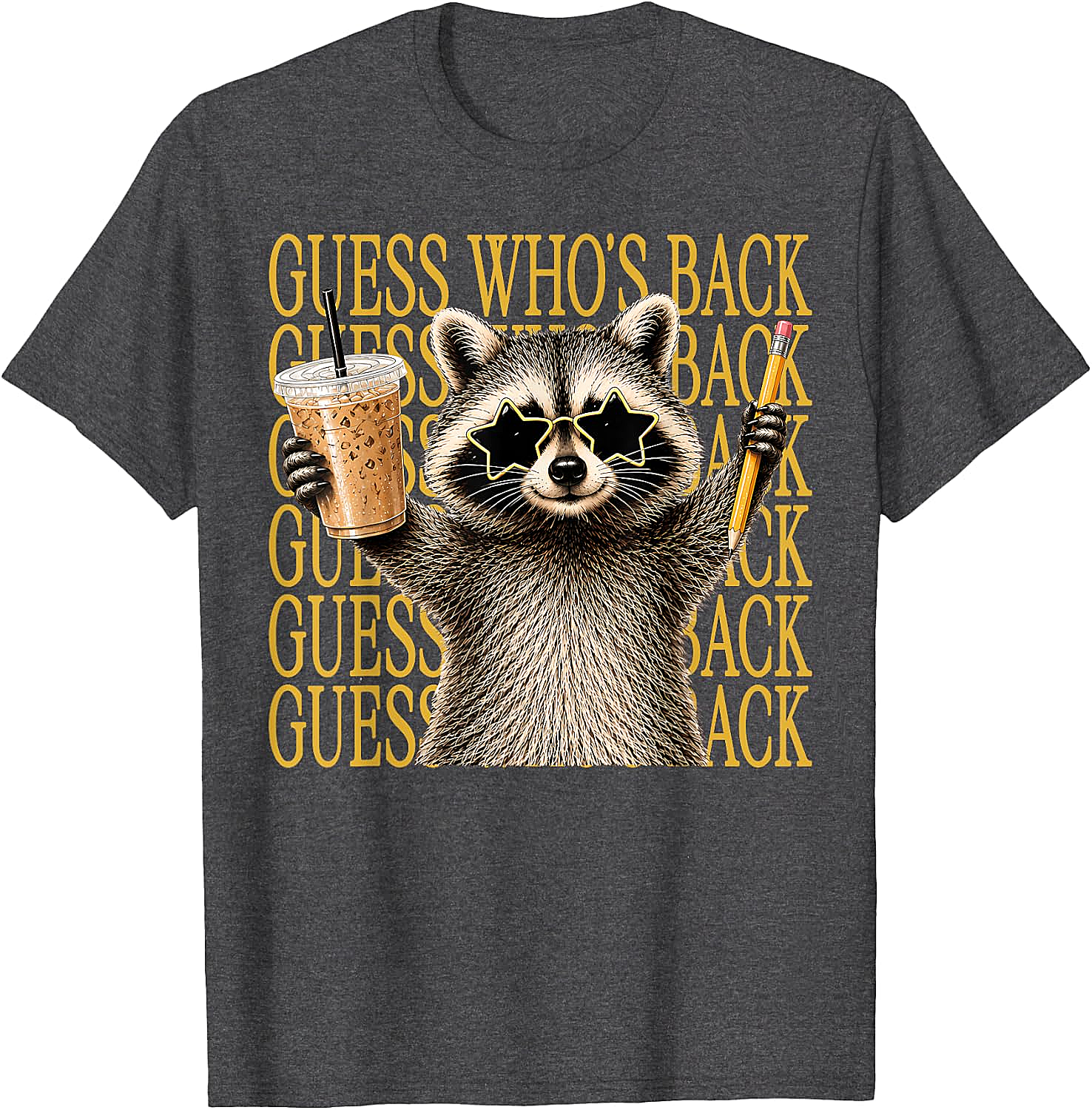 Funny Back to School Raccoon Tee Teacher & Kids Shirt