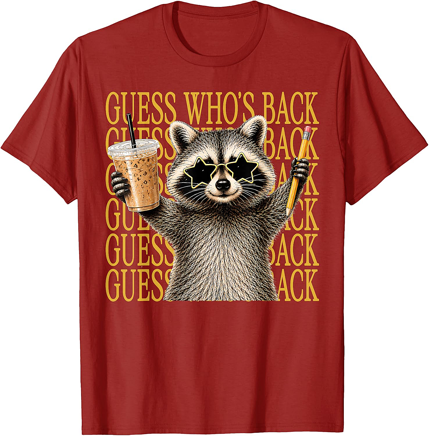 Funny Back to School Raccoon Tee Teacher & Kids Shirt