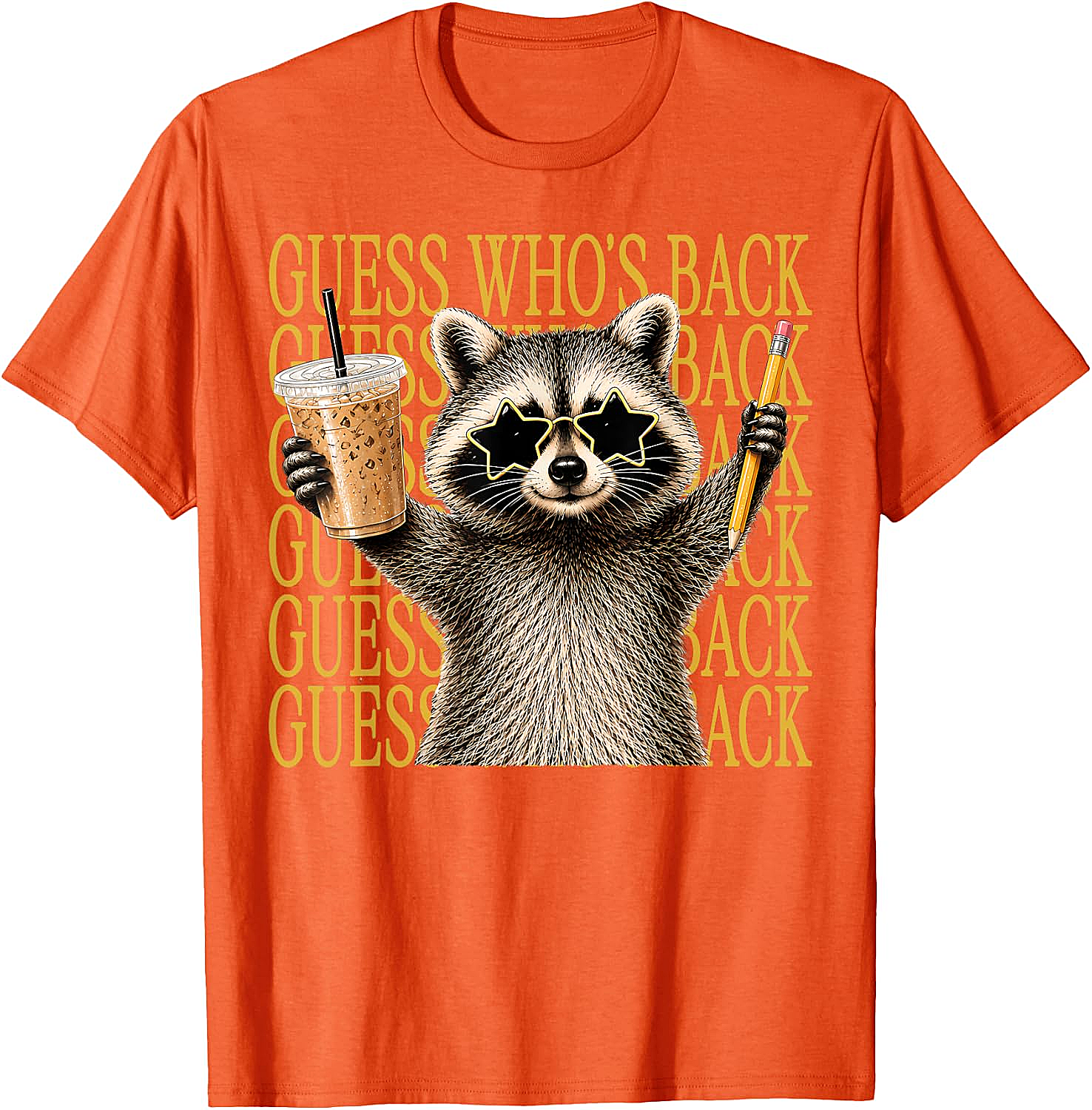 Funny Back to School Raccoon Tee Teacher & Kids Shirt