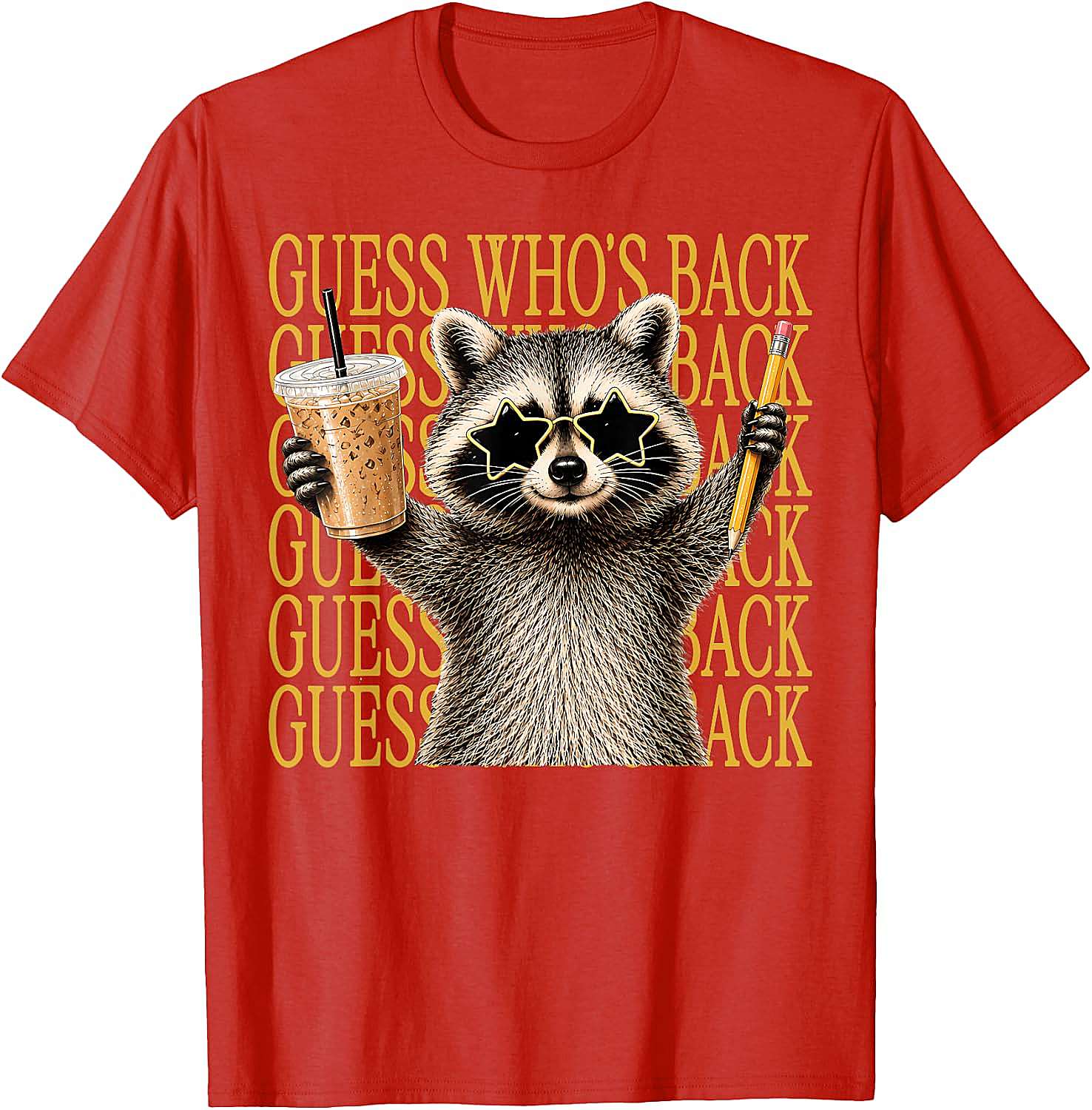 Funny Back to School Raccoon Tee Teacher & Kids Shirt