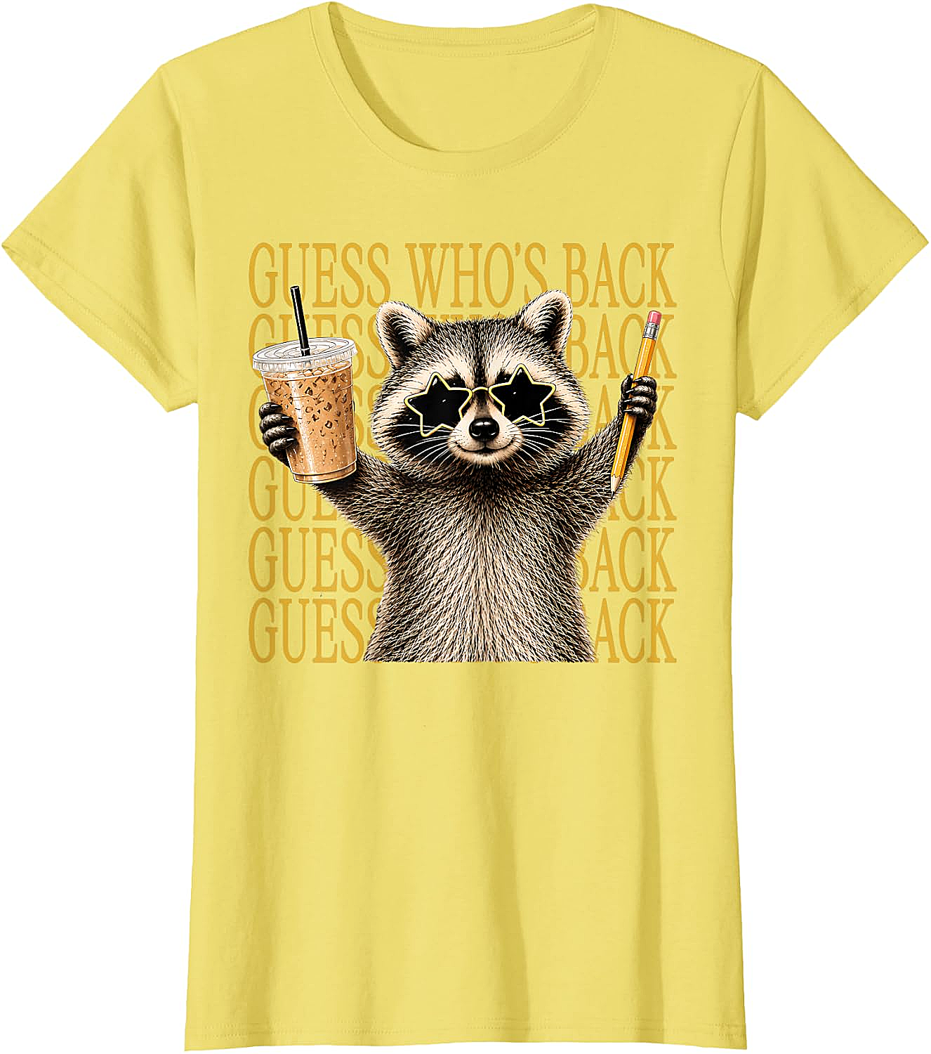 Funny Back to School Raccoon Tee Teacher & Kids Shirt