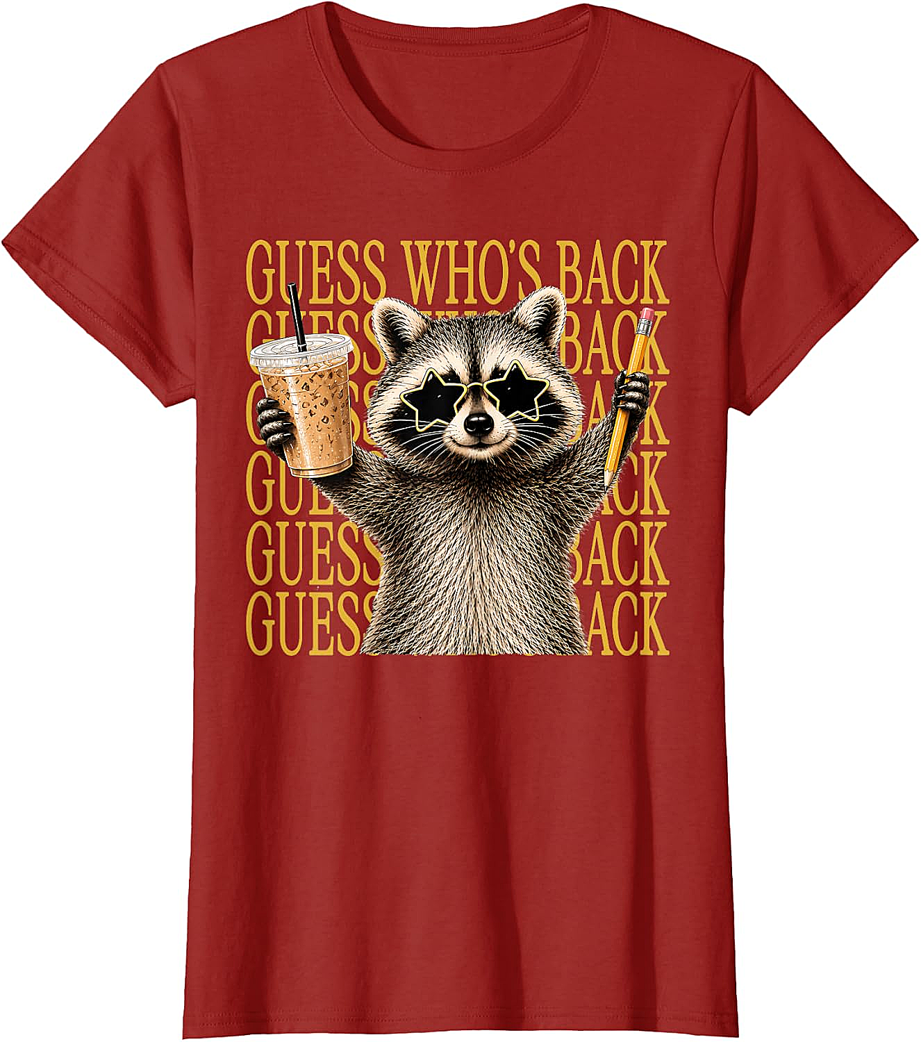Funny Back to School Raccoon Tee Teacher & Kids Shirt