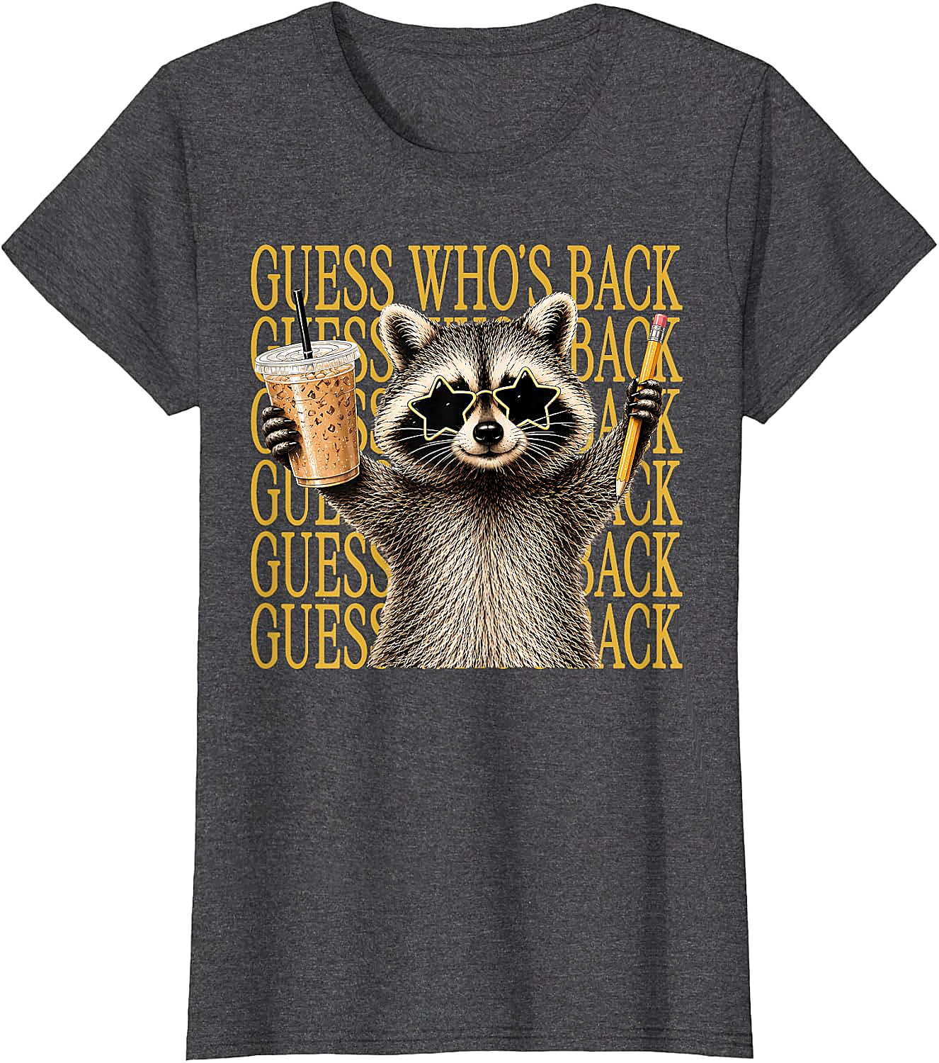 Funny Back to School Raccoon Tee Teacher & Kids Shirt