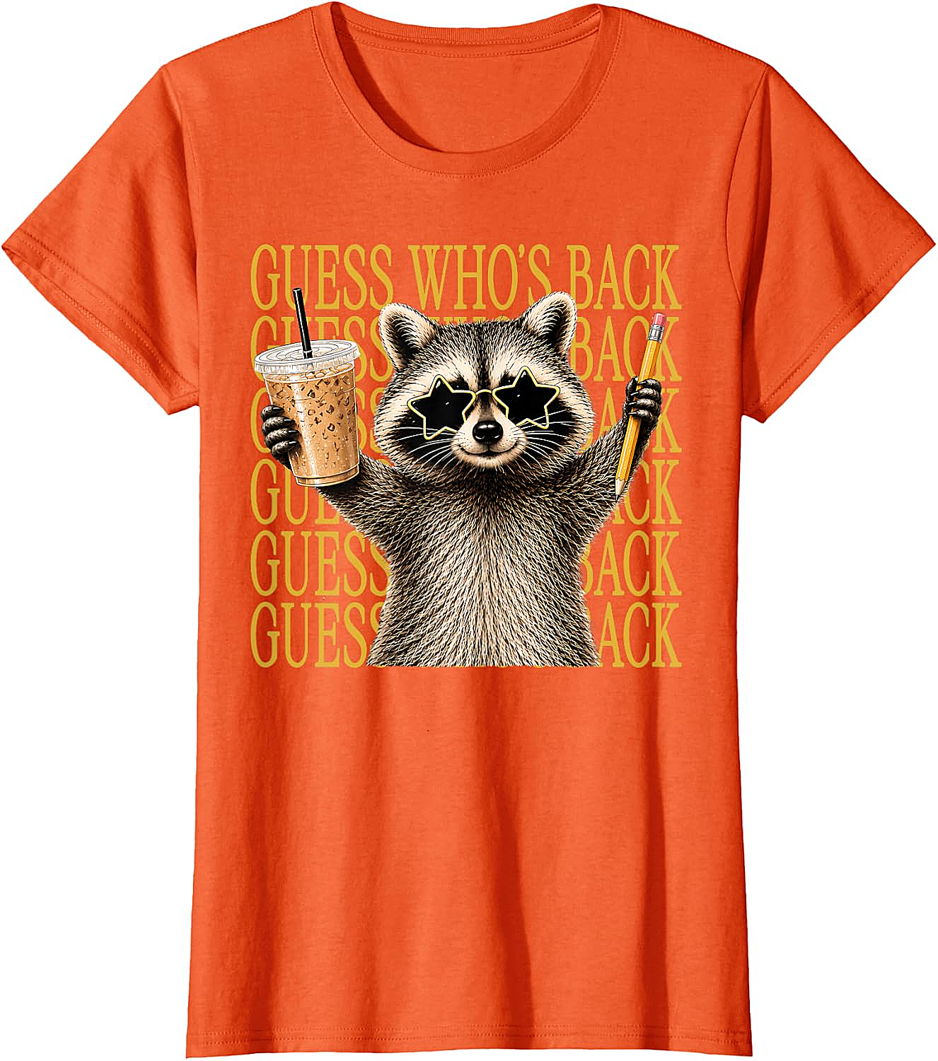 Funny Back to School Raccoon Tee Teacher & Kids Shirt