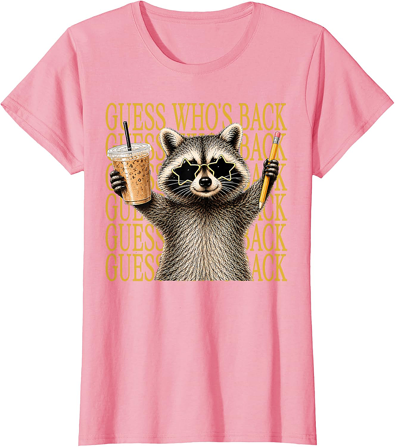 Funny Back to School Raccoon Tee Teacher & Kids Shirt