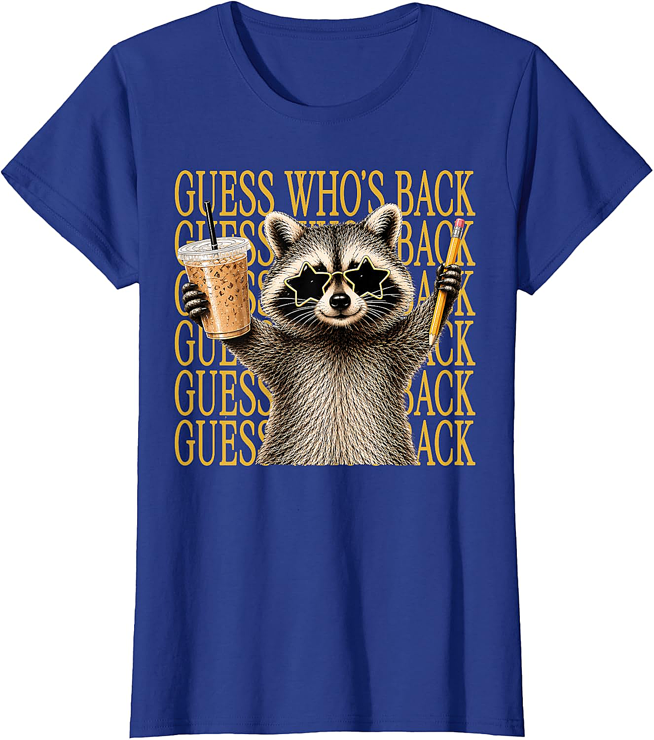 Funny Back to School Raccoon Tee Teacher & Kids Shirt