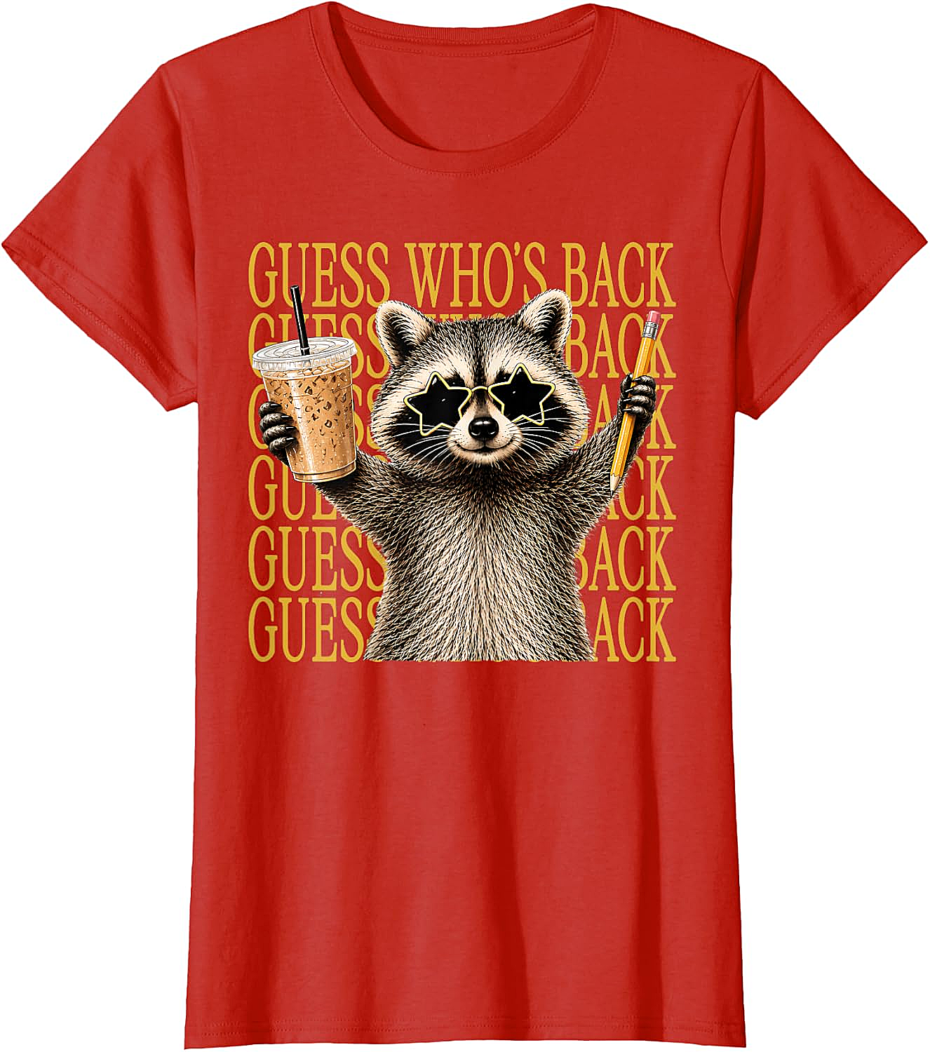 Funny Back to School Raccoon Tee Teacher & Kids Shirt