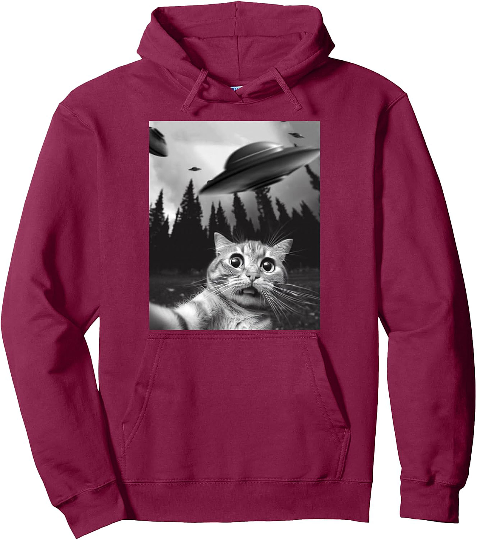 Funny Cat Selfie UFO Pullover Hoodie | Cozy & Unique