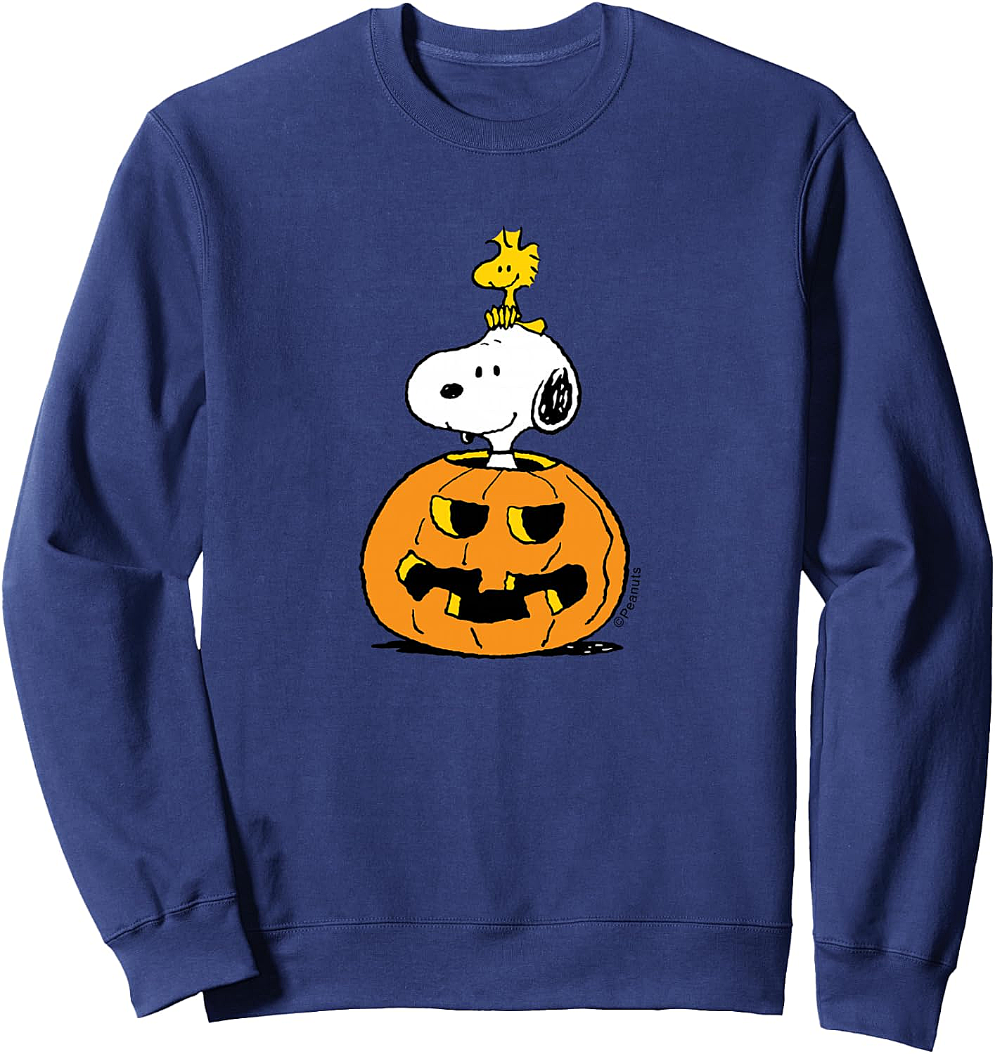  Snoopy Woodstock Pumpkin Halloween Sweatshirt Peanuts