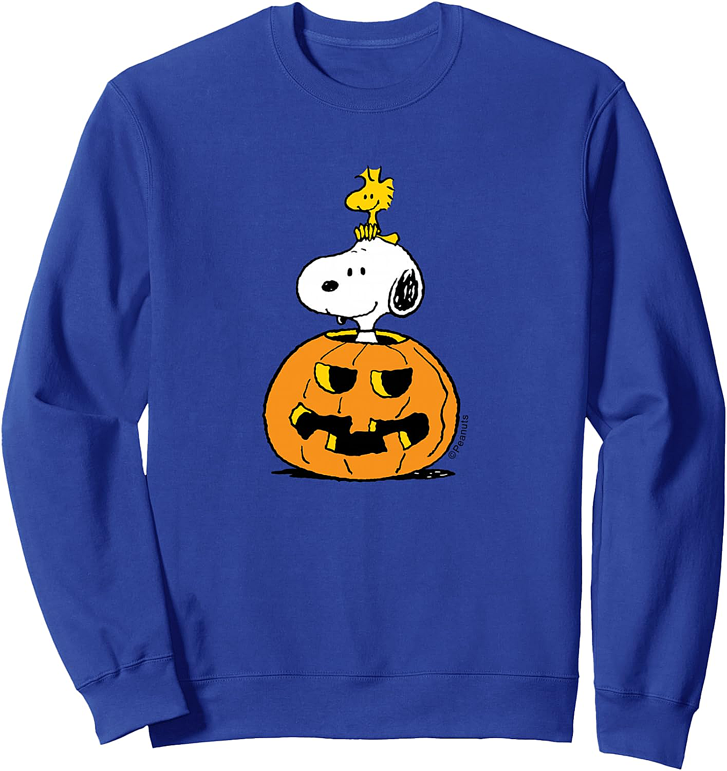  Snoopy Woodstock Pumpkin Halloween Sweatshirt Peanuts