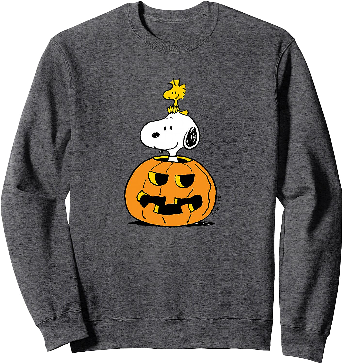  Snoopy Woodstock Pumpkin Halloween Sweatshirt Peanuts