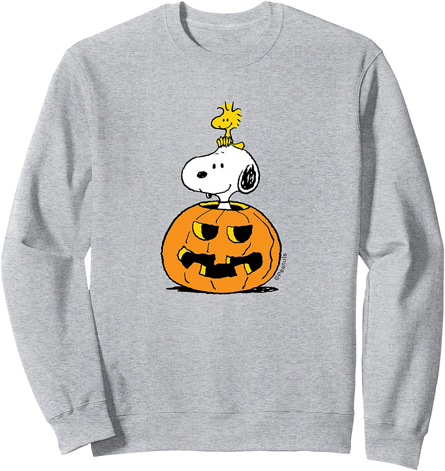  Snoopy Woodstock Pumpkin Halloween Sweatshirt Peanuts