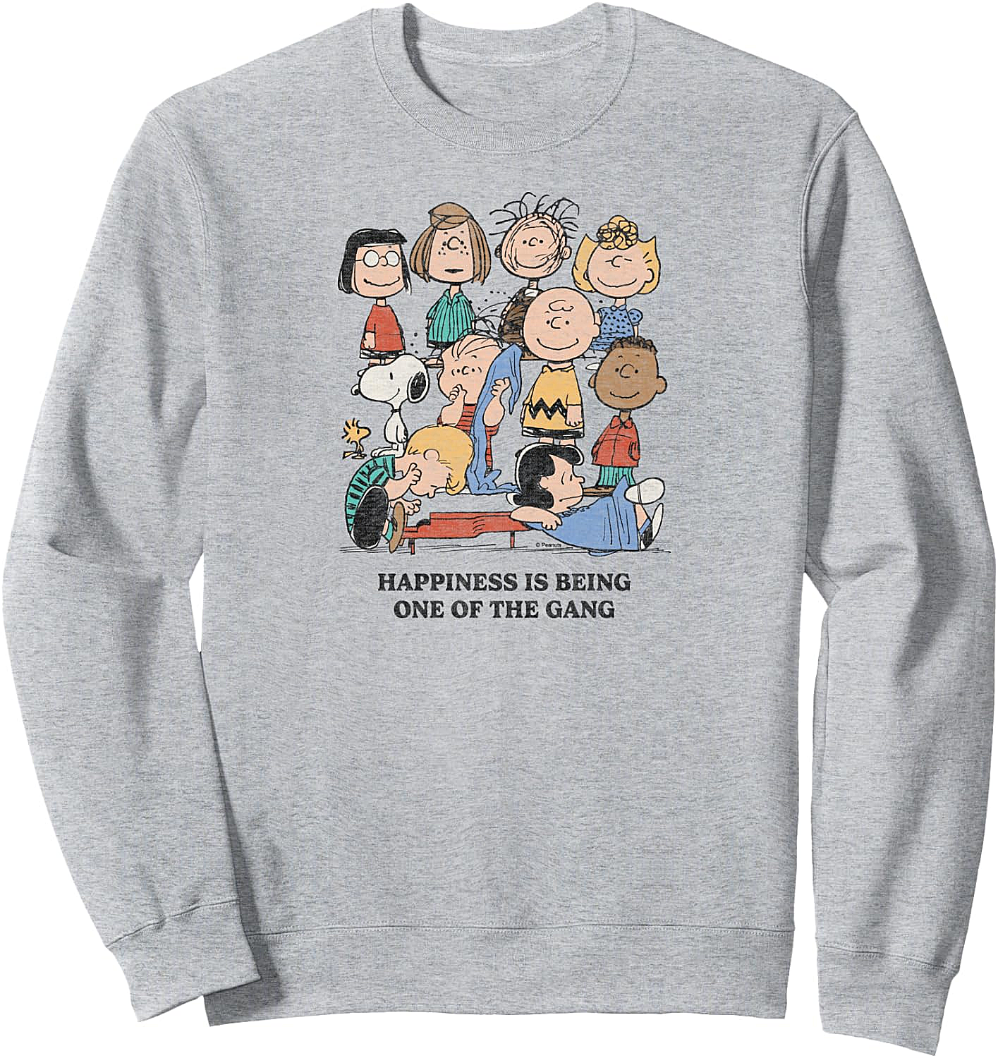 Peanuts One of the Gang Sweatshirt Classic Graphic Tee