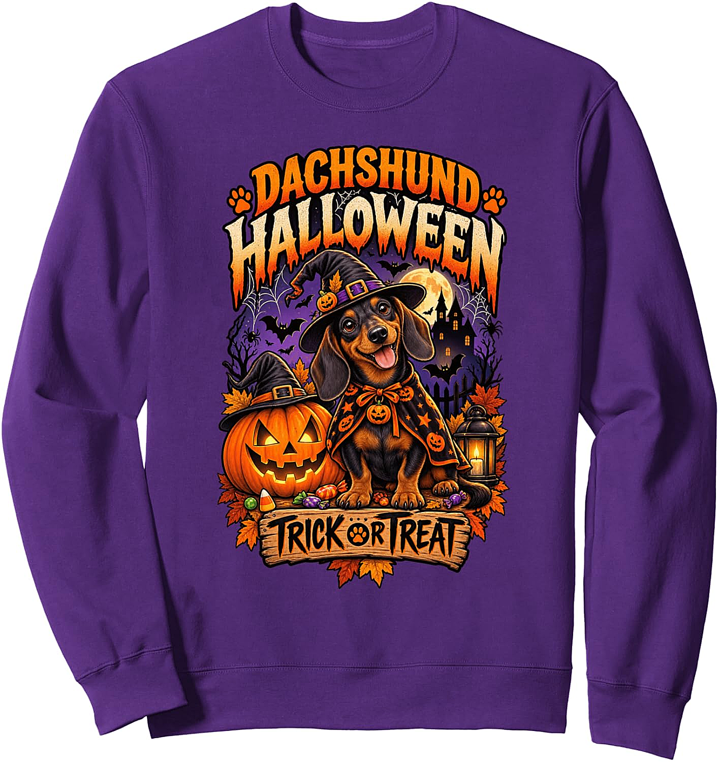 Dachshund Halloween Sweatshirt Kids & Adults Cozy Fun