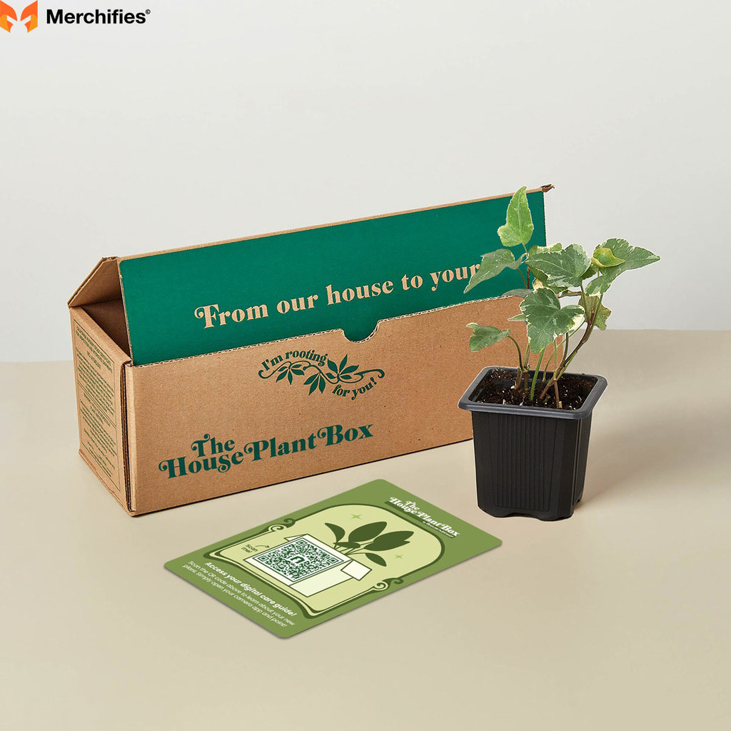 Subscription Box for Plants