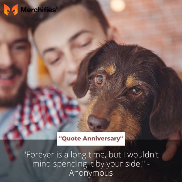 5 years work anniversary quotes