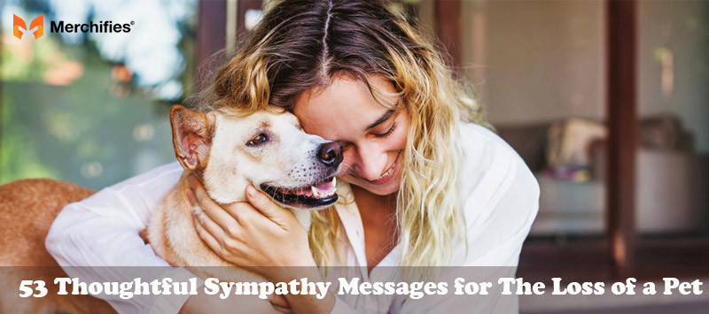 53 Thoughtful Sympathy Messages for The Loss of a Pet