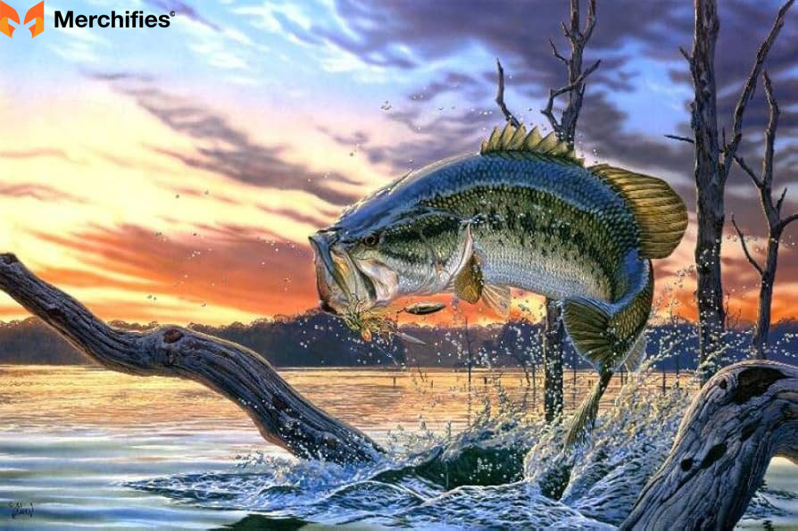 Bass Fish Photo Collage