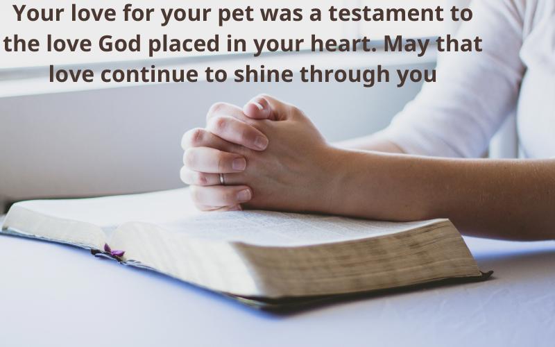 Christian Condolence Messages for the loss of a pet