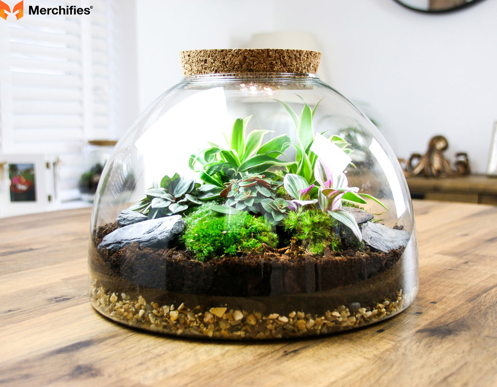 Glass Terrarium