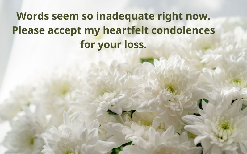 Sympathy Message For A Best Friend Loss Their Sister