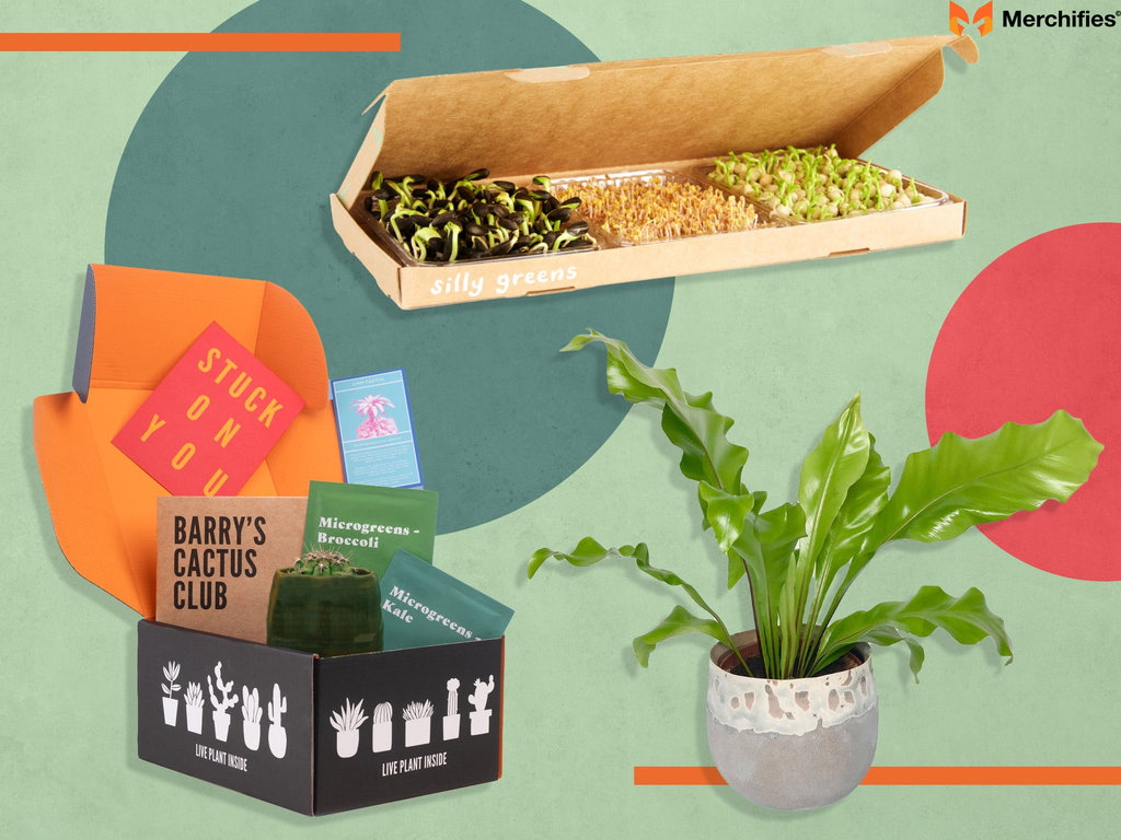 Plant Subscription Service