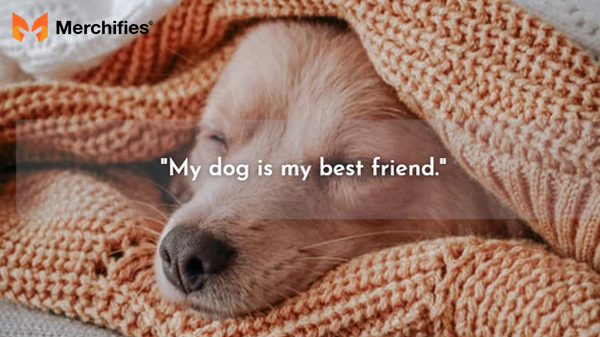 Funny dog quotes