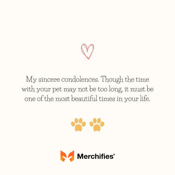 Condolence message for pet loss