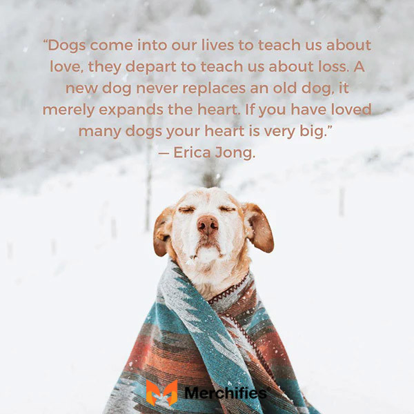 Dog death quotes rainbow bridge