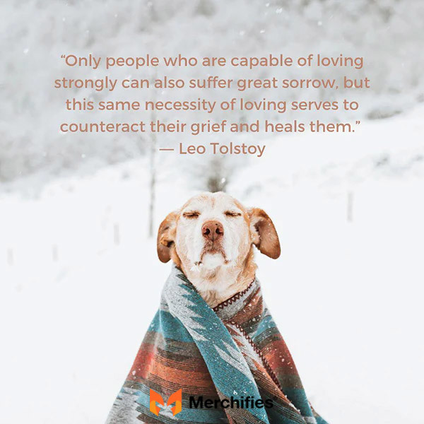 Dog death sympathy quotes