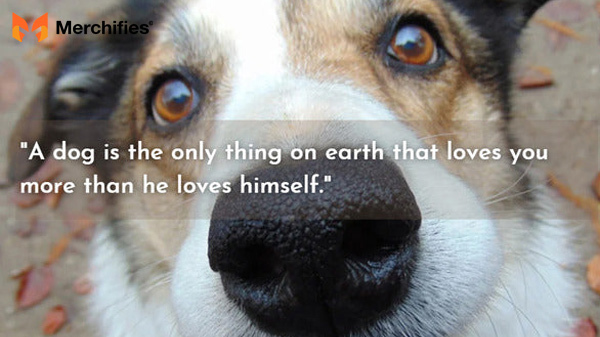 Dog heaven quotes