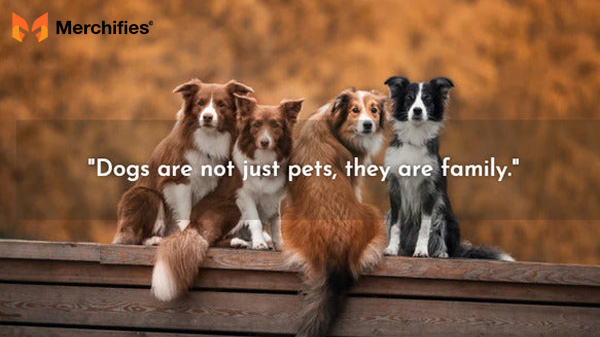 Dog love quotes