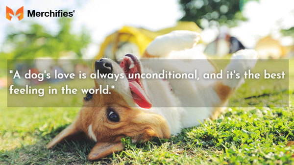 Dog quote