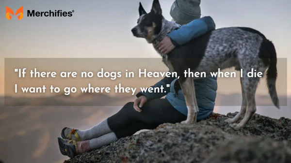 Dog quotes love