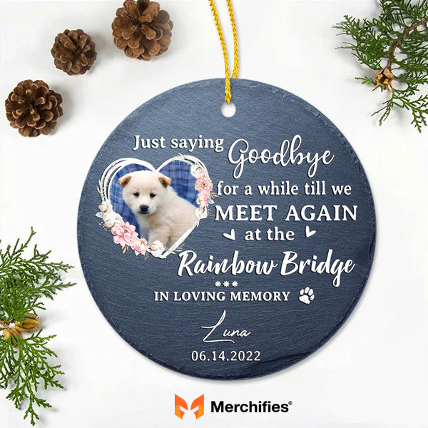 Dog rainbow bridge quote