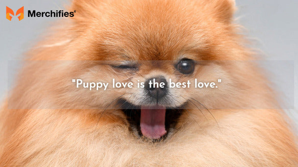 Dogs best friend quotes