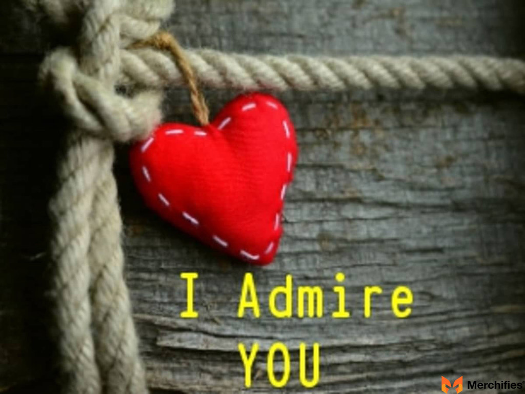 What I Admire About You