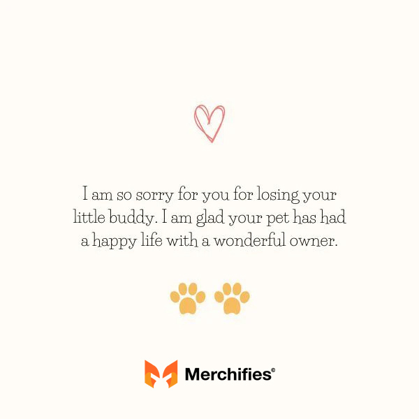 Lost pet sympathy messages